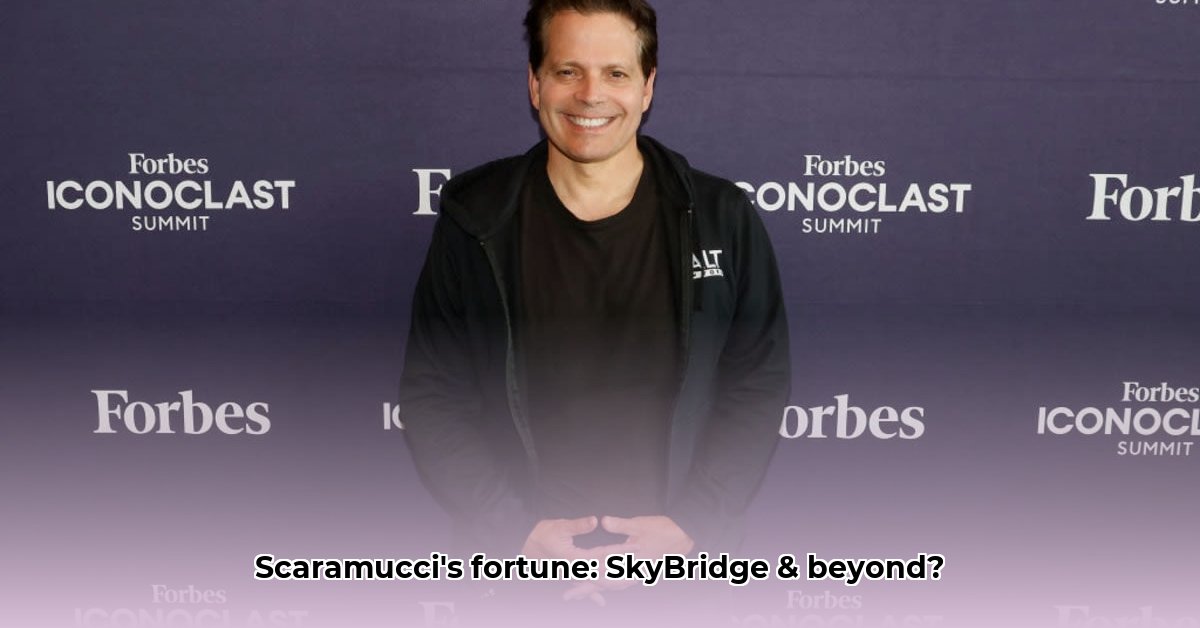 anthony-scaramucci-net-worth-2024